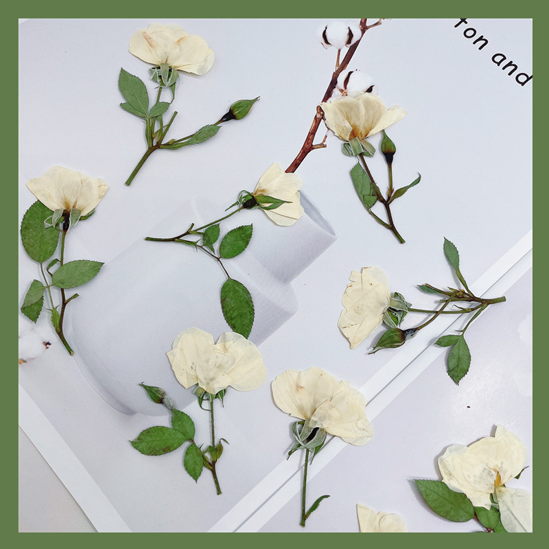 Wedding Card Box - 12 piezas, ramas de rosas naturales
